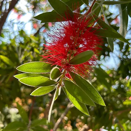 Gasthof Casa Corime Partanna