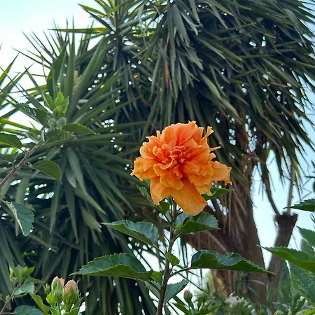 Casa Corime 3* Partanna