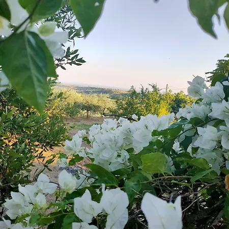 Gasthof Casa Corime 3*