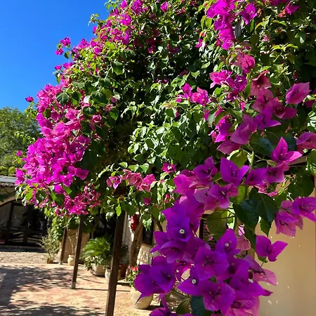 Gasthof Casa Corime 3*