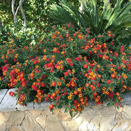 Casa Corime Gasthof Partanna