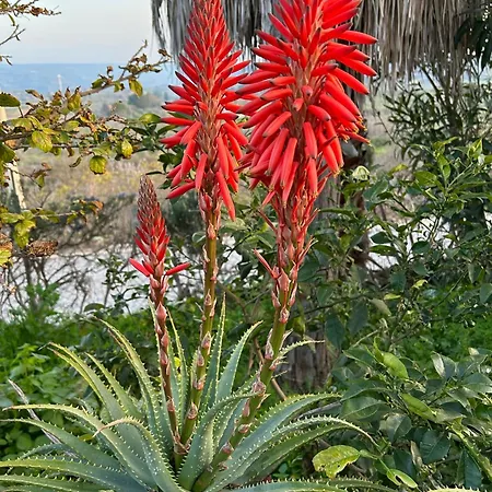 Casa Corime Gasthof 3*