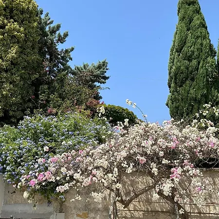 Casa Corime Partanna