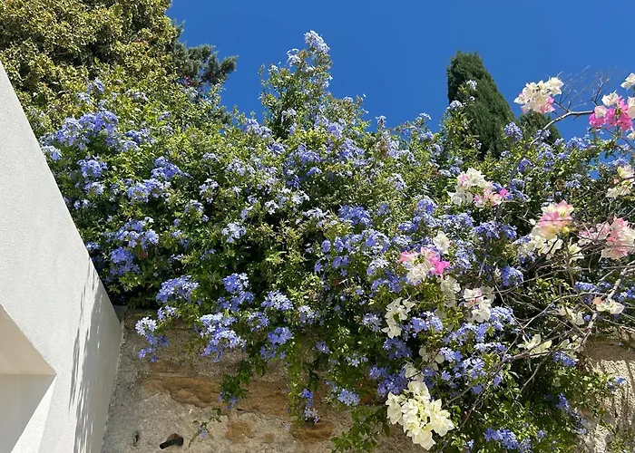 Casa Corime